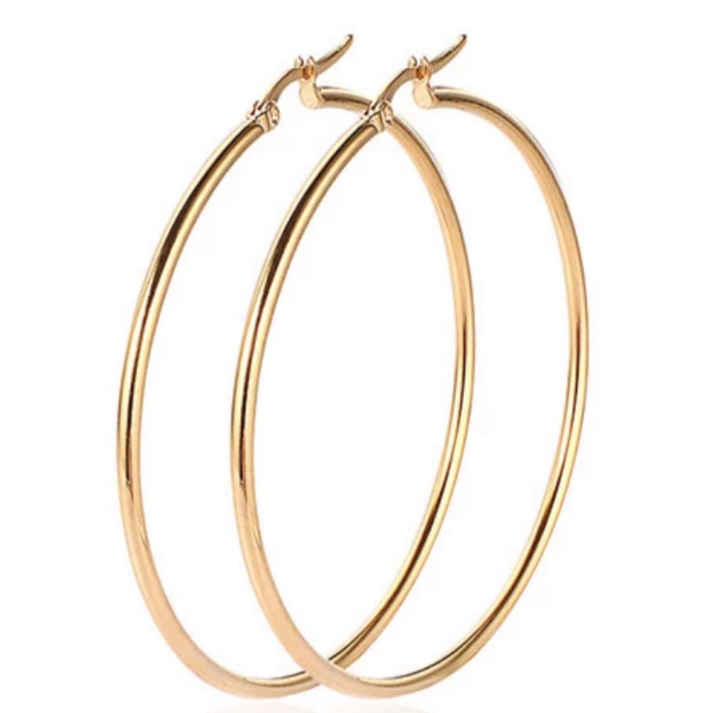 Adore Stainless Steel LG Hoops